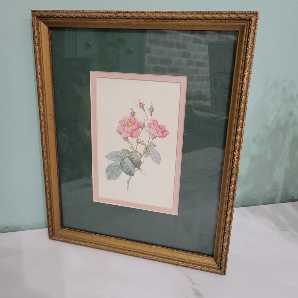 Framed Pink Rose Botanical Print with Gold Frame